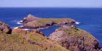 The huge remote island has become one of the largest wildlife sanctuaries in the world